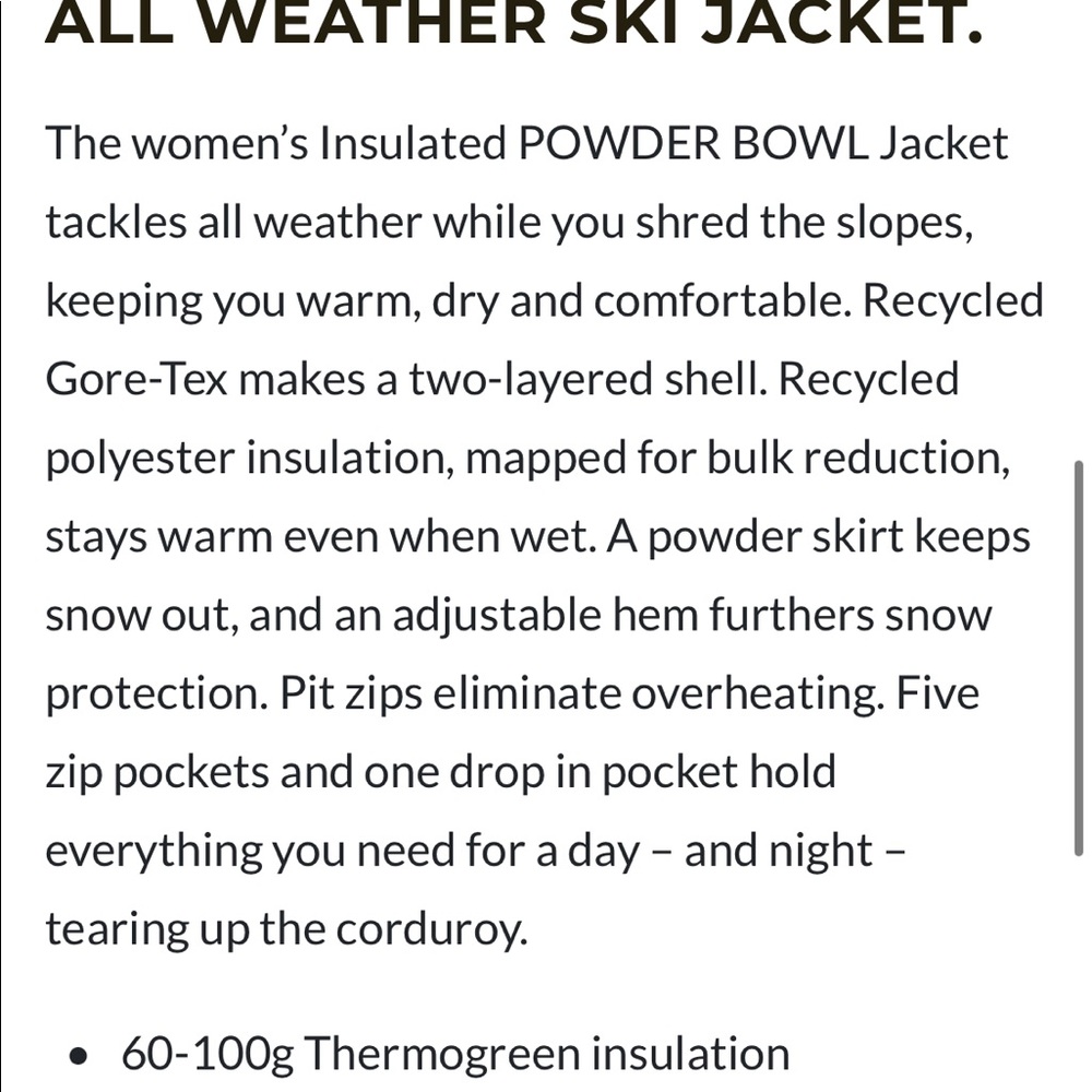 Patagonia Powder Bowl Ski Jacket-Brand New With Tags- Size Lg